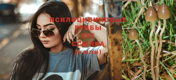 марки nbome Бородино