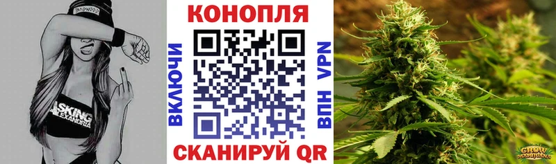 Бошки марихуана SATIVA & INDICA  купить наркотик  Качканар 